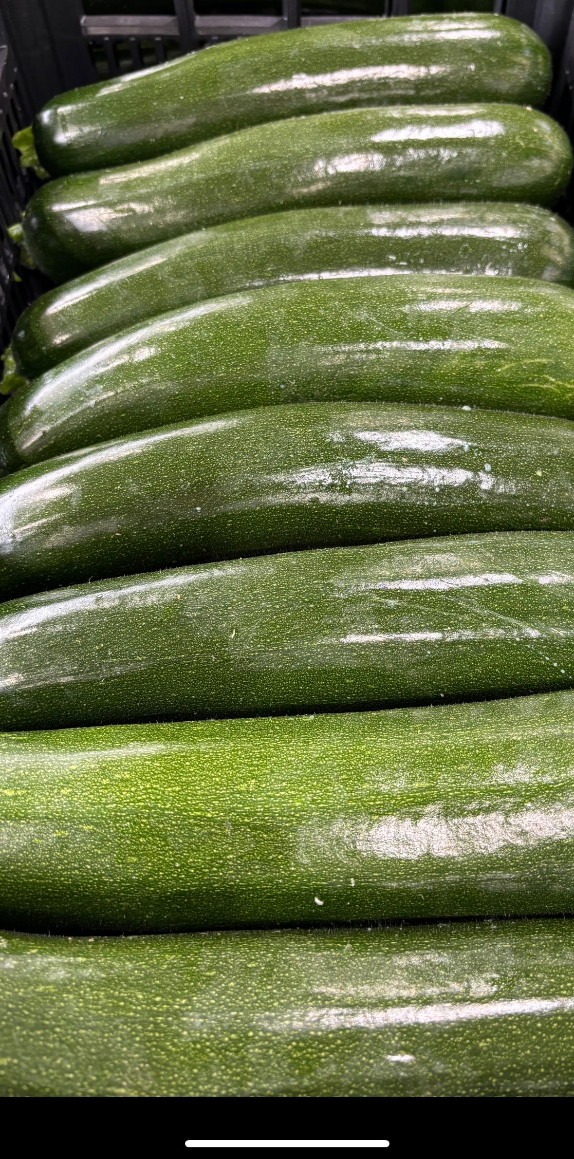 Calabacín