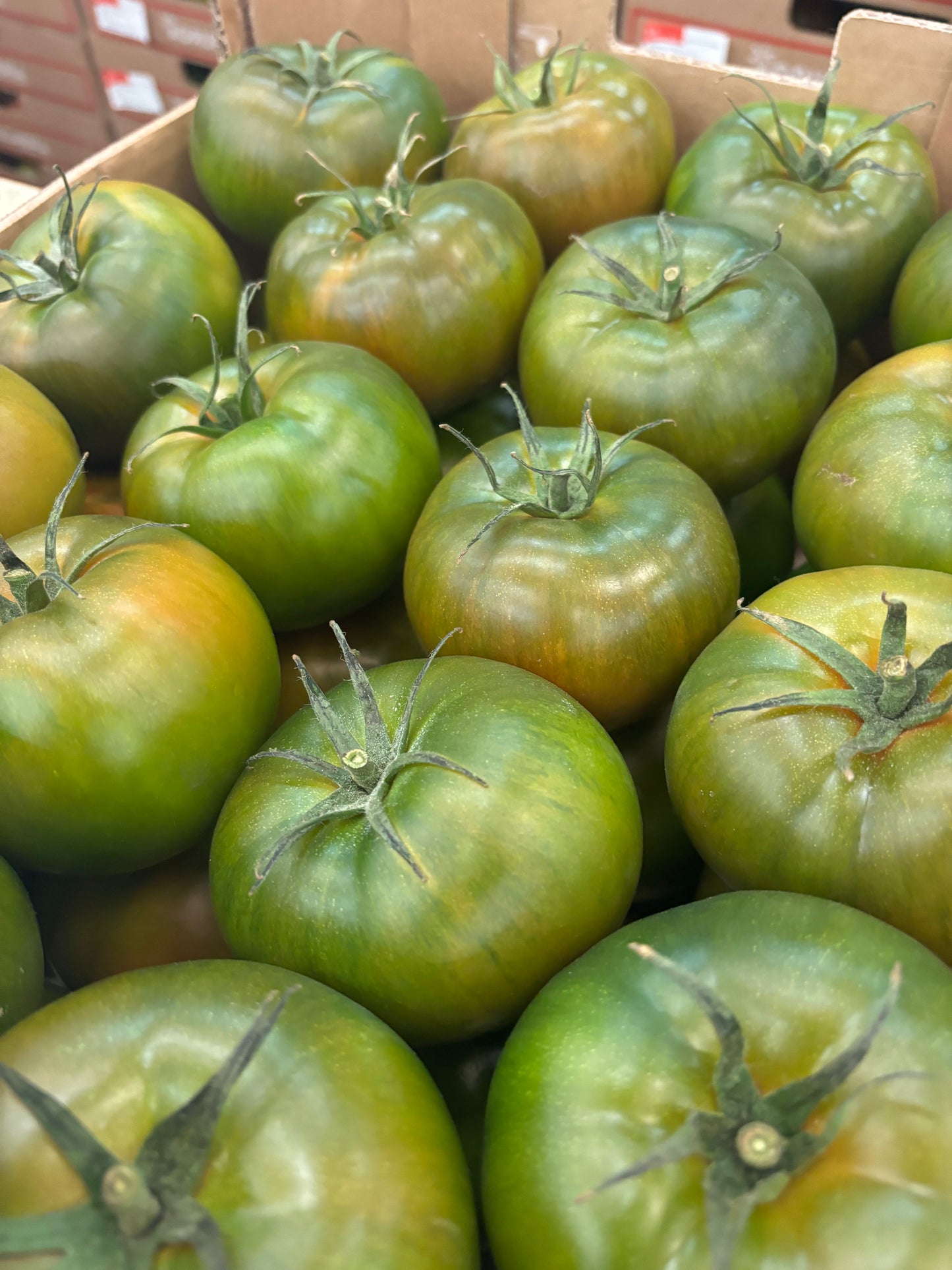 Tomate Ensalada