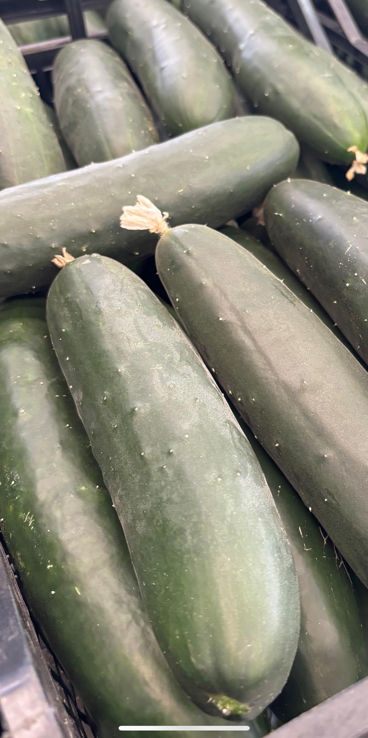 Pepino