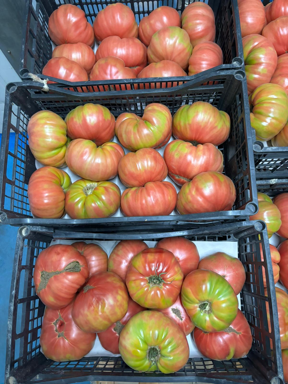 Tomate Rosa