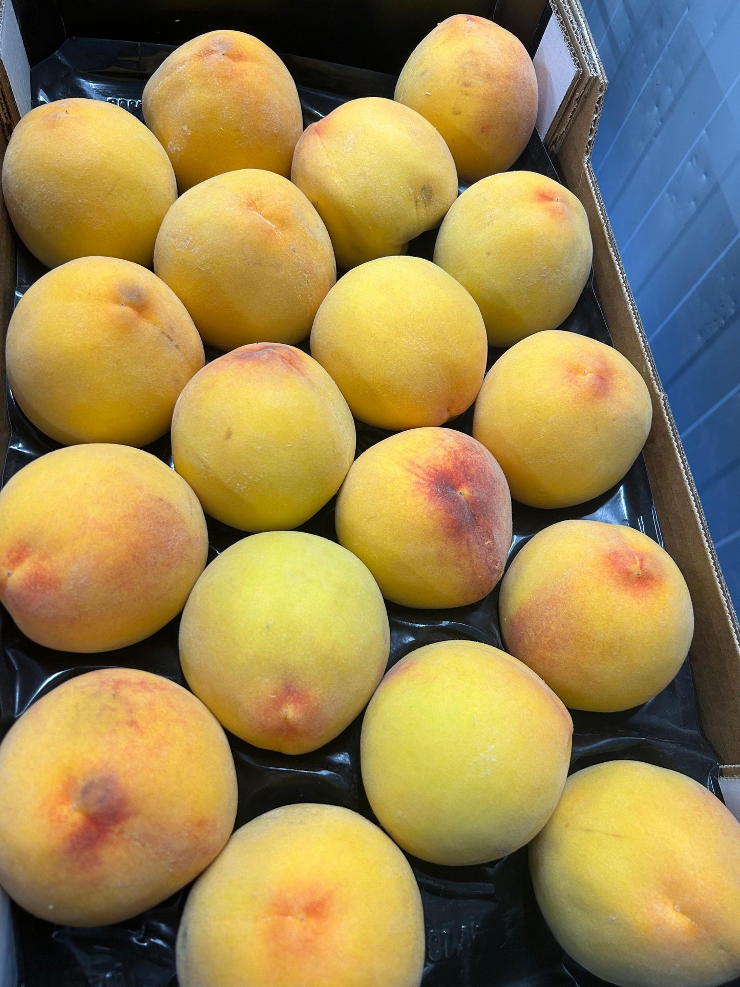 Melocotón Amarillo