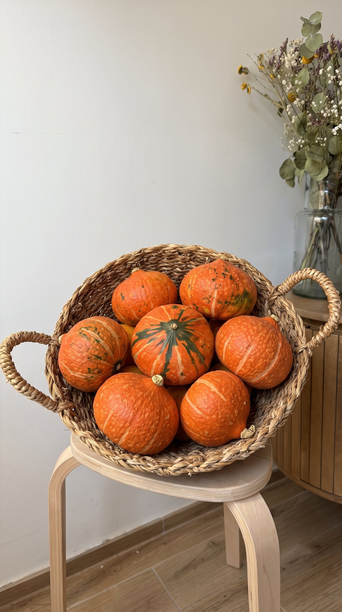 Calabaza Potimarron