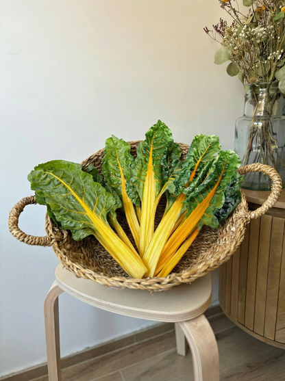 Acelga Amarilla (manojo)