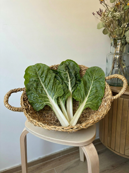 Acelga Amarilla (manojo)