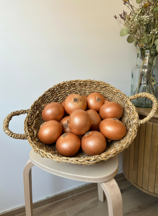 Cebolla Grano