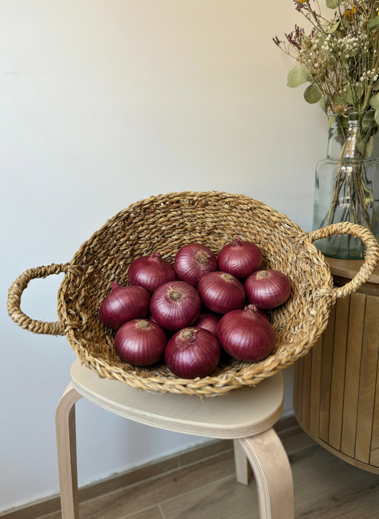 Cebolla Morada
