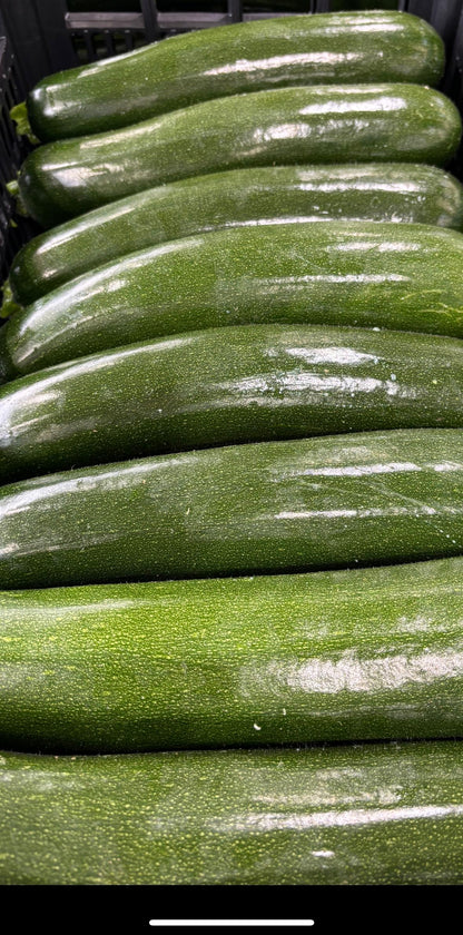 Calabacín