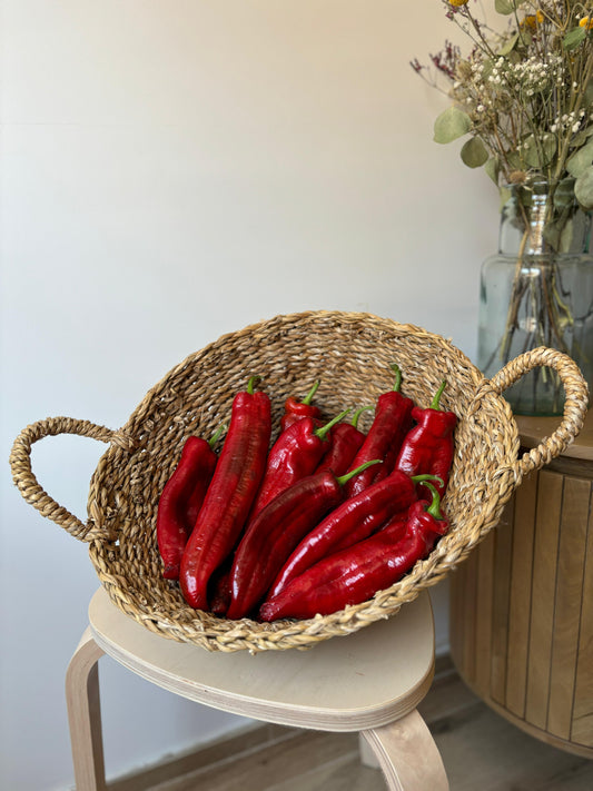 Pimiento Italiano Rojo