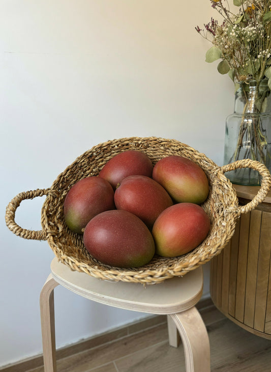 Mango Osteen