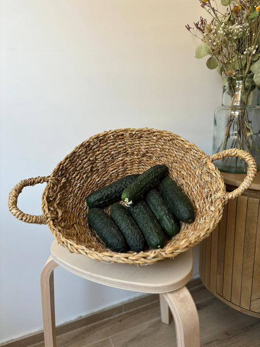 Pepino
