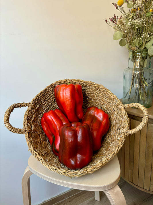 Pimiento Lamuyo Rojo