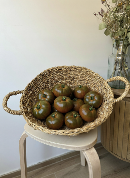 Tomate Ensalada (Chocmato)