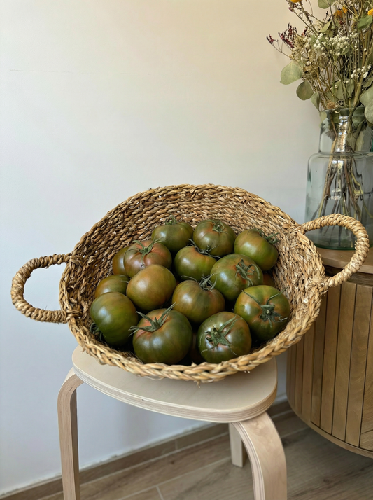 Tomate Ensalada (Cuello negro)