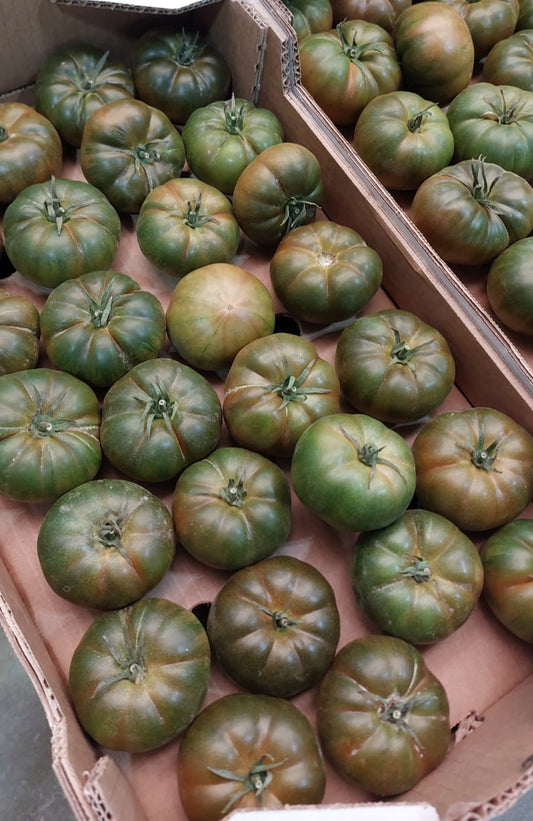 Tomate Negro Asurcado
