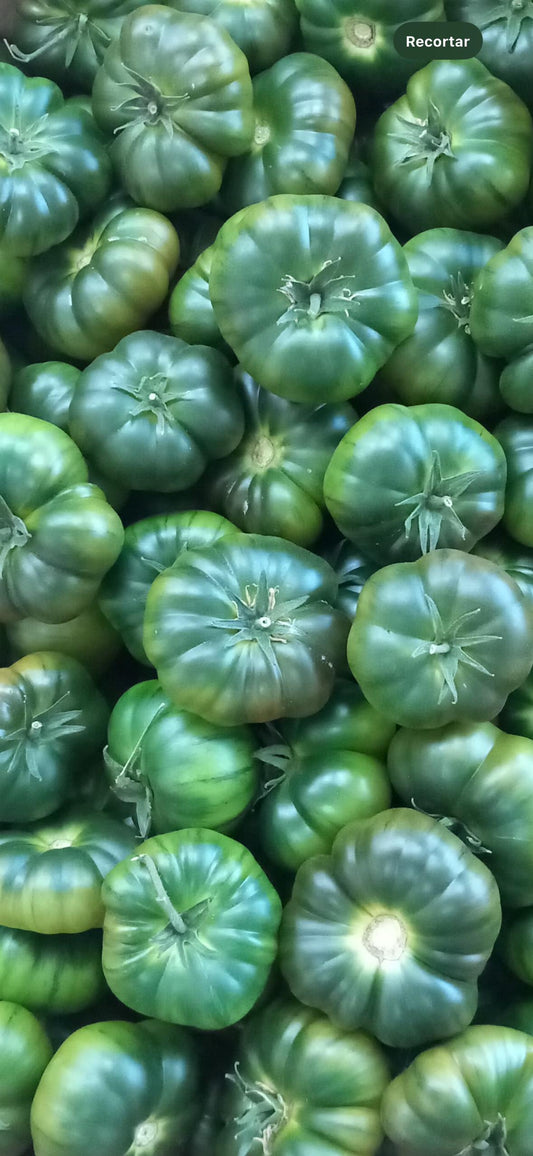 Tomate Negro Asurcado
