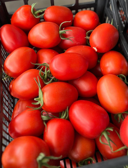 Tomate Pera