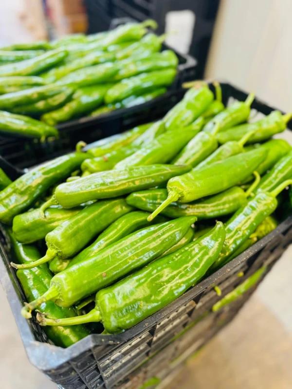 Pimiento Italiano Verde