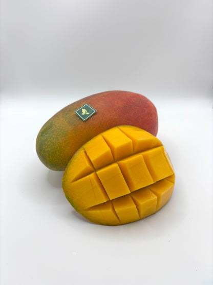 Mango Irwin