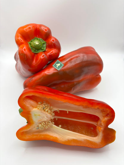 Pimiento Lamuyo Rojo