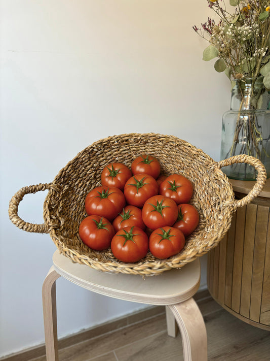 Tomate Daniela Maduro